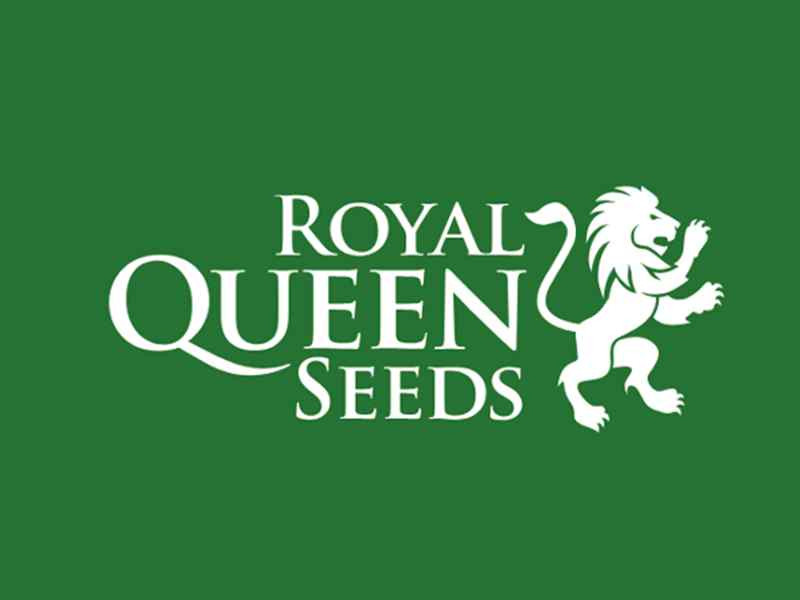 royal queen seeds семена конопли